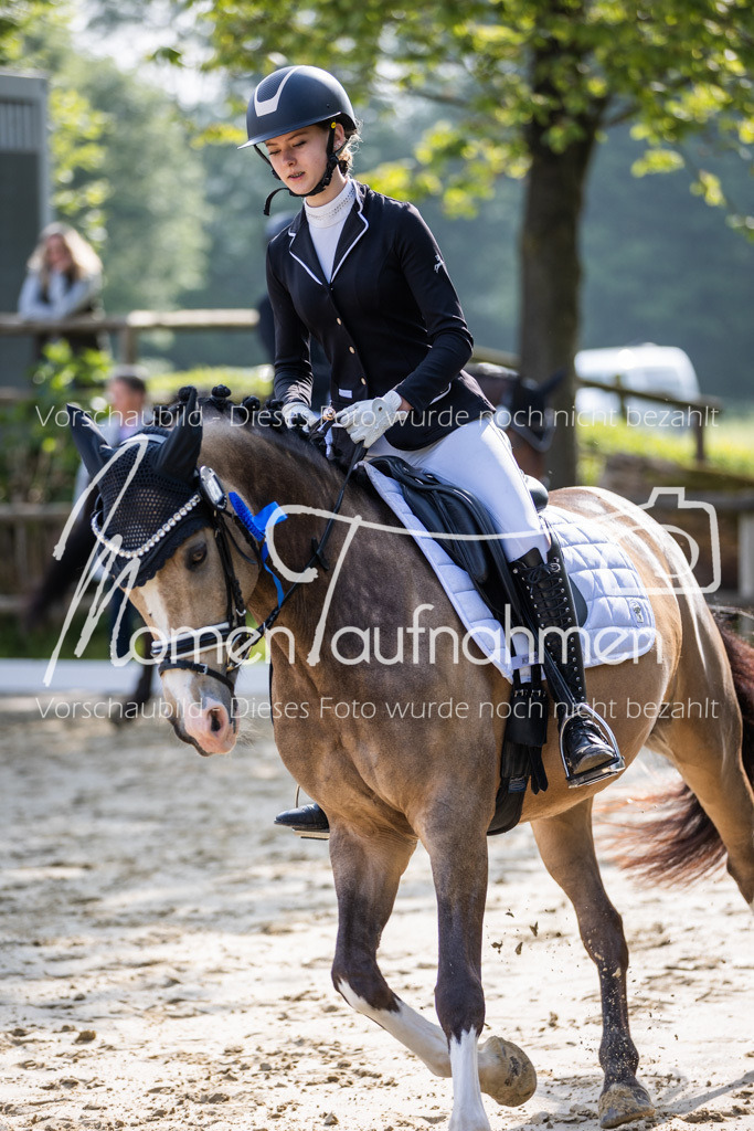 Donop24-A-Dre-163 | MomenTaufnahmen Pferdesportfotos