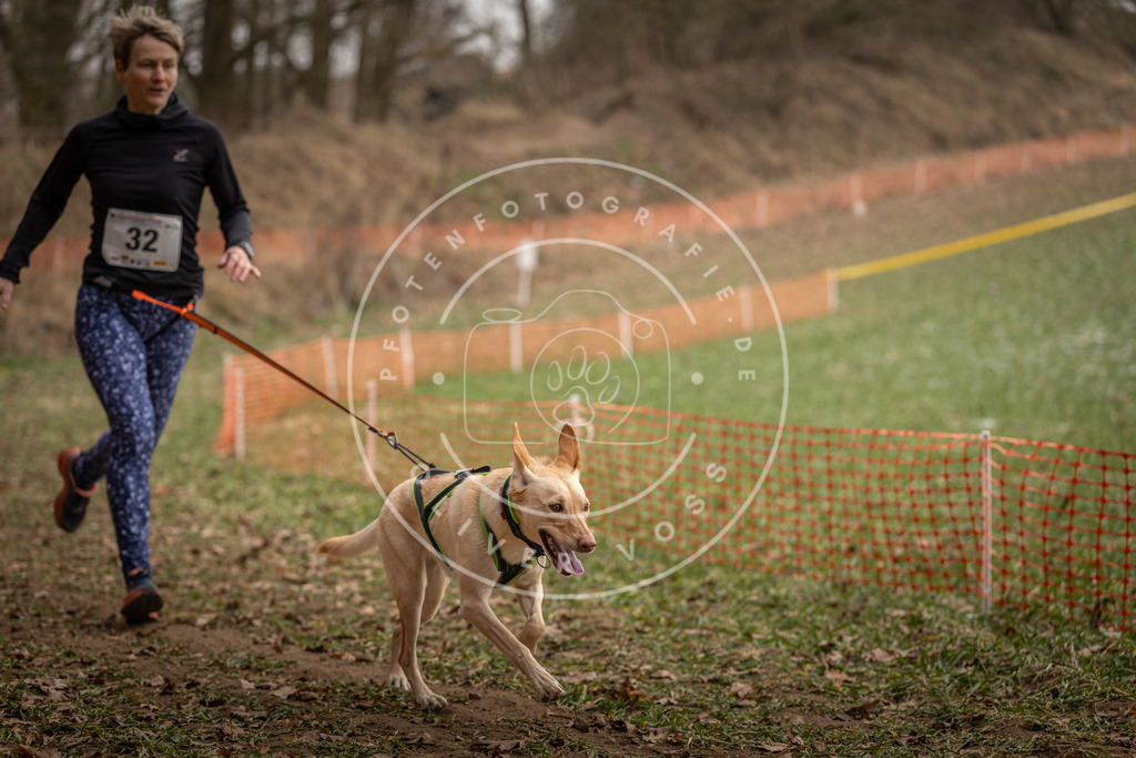 Pfotenfotografie_DV3A9135 | Hundefotografie, Tierfotograf, Pfotenfotografie, Fotoshooting Hund, Hunde Portrait, Hundesport, Hundeportraits, Heideshooting, Hunde, Sportfotograf, Hundefotograf, Turnierhundsport, THS,  - Realisiert mit Pictrs.com
