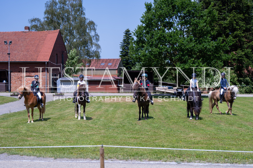 KAI03934 | Ihr sucht einen Fotografen für eure nächste OSI? Ich begleite auch euer Turnier für Islandpferde fotografisch.  - Realisiert mit Pictrs.com
