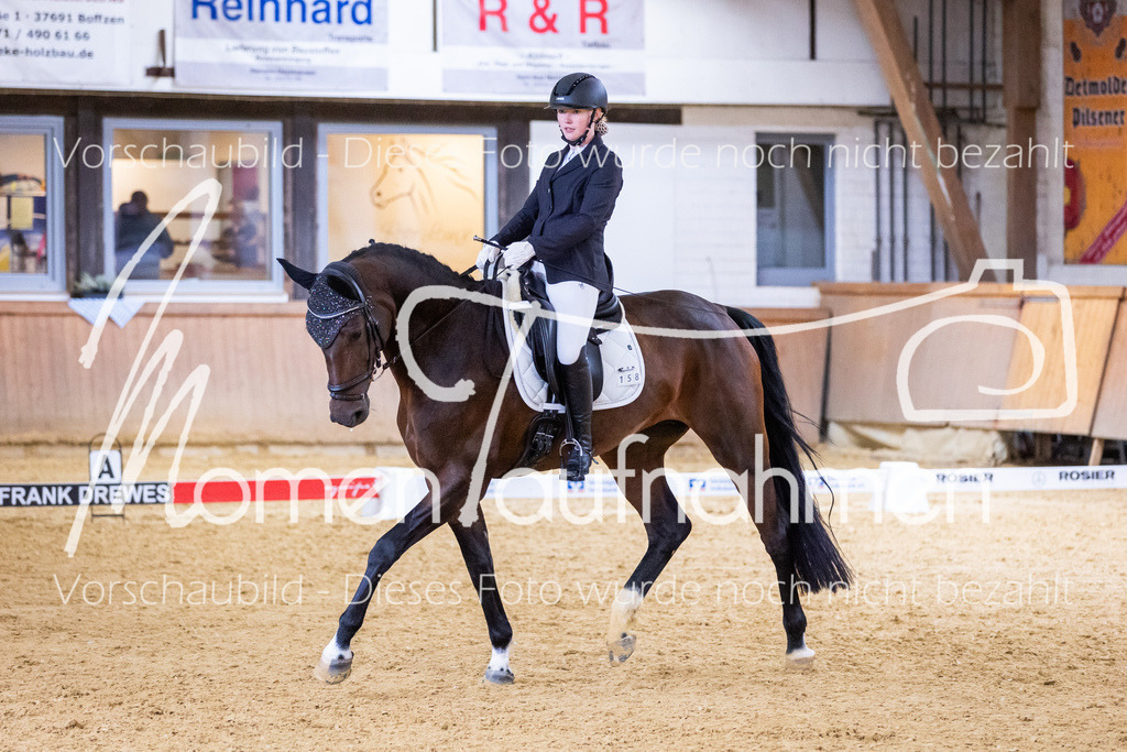 Sth-A-Dre-2St-176 | MomenTaufnahmen Pferdesportfotos