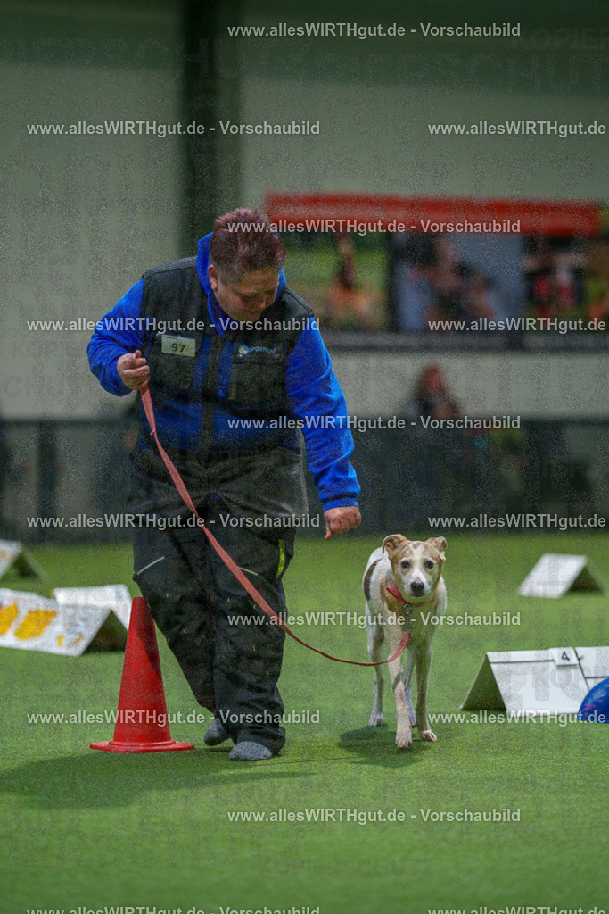 7R504519 | Professionelle Tierfotografie in Mönchengladbach von Daniel Wirth (allesWIRTHgut). Liebevolle & natürliche Bilder von Hunden & Katzen für unvergessliche Erinnerungen.