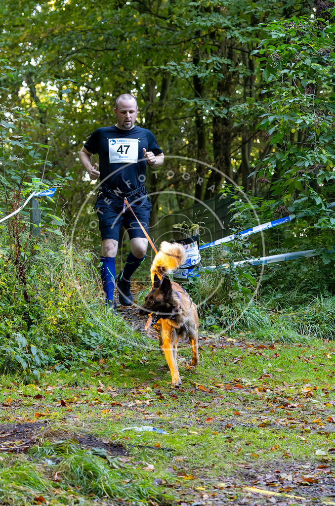 Pfotenfotografie_DV3A6948 | Hundefotografie, Tierfotograf, Pfotenfotografie, Fotoshooting Hund, Hunde Portrait, Hundesport, Hundeportraits, Heideshooting, Hunde, Sportfotograf, Hundefotograf, Turnierhundsport, THS,  - Realisiert mit Pictrs.com