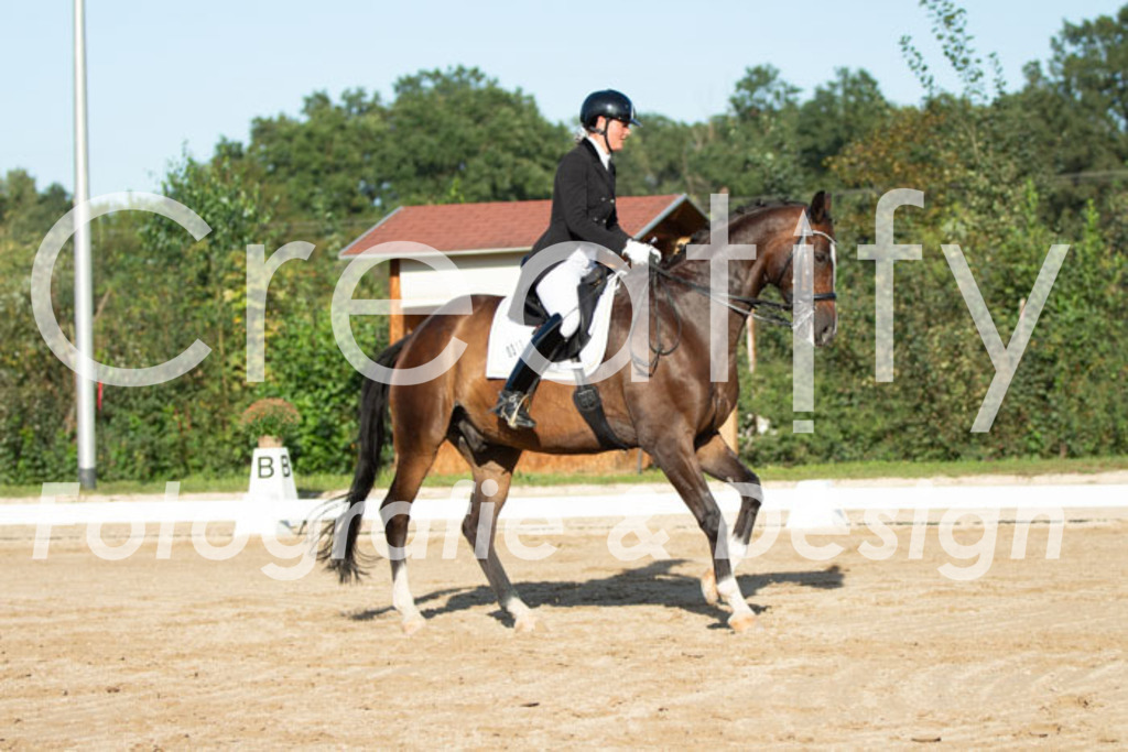 IMG_5773 | Creatify Fotografie