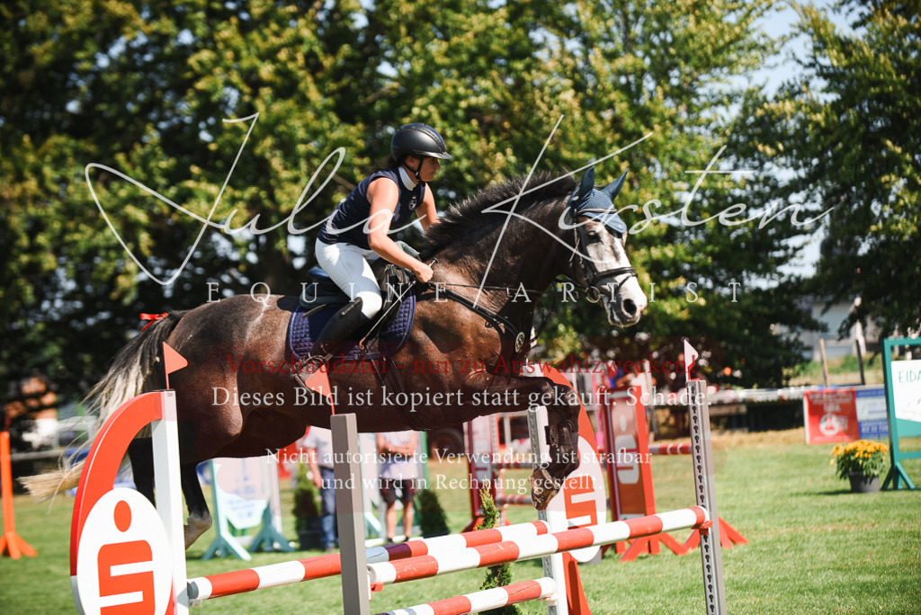 DSC_2886 | Pferde- und Turnierfotografie in Westsachsen. Pferdeportraits, Auftragszeichnungen und intuitive Kunst.
