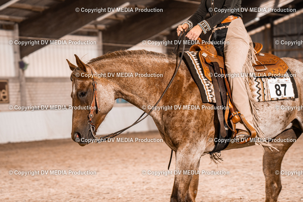 ZH100159 | dv-media-shop - Realisiert mit Pictrs.com