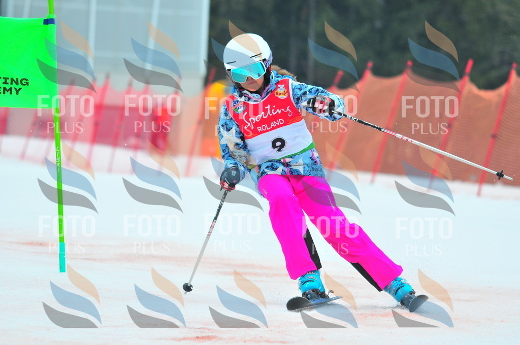 C0371 | holidayphoto