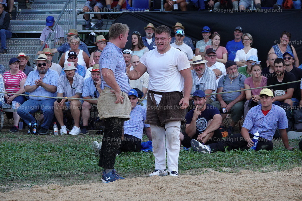 DSC01825 | Schwingen - Realisiert mit Pictrs.com