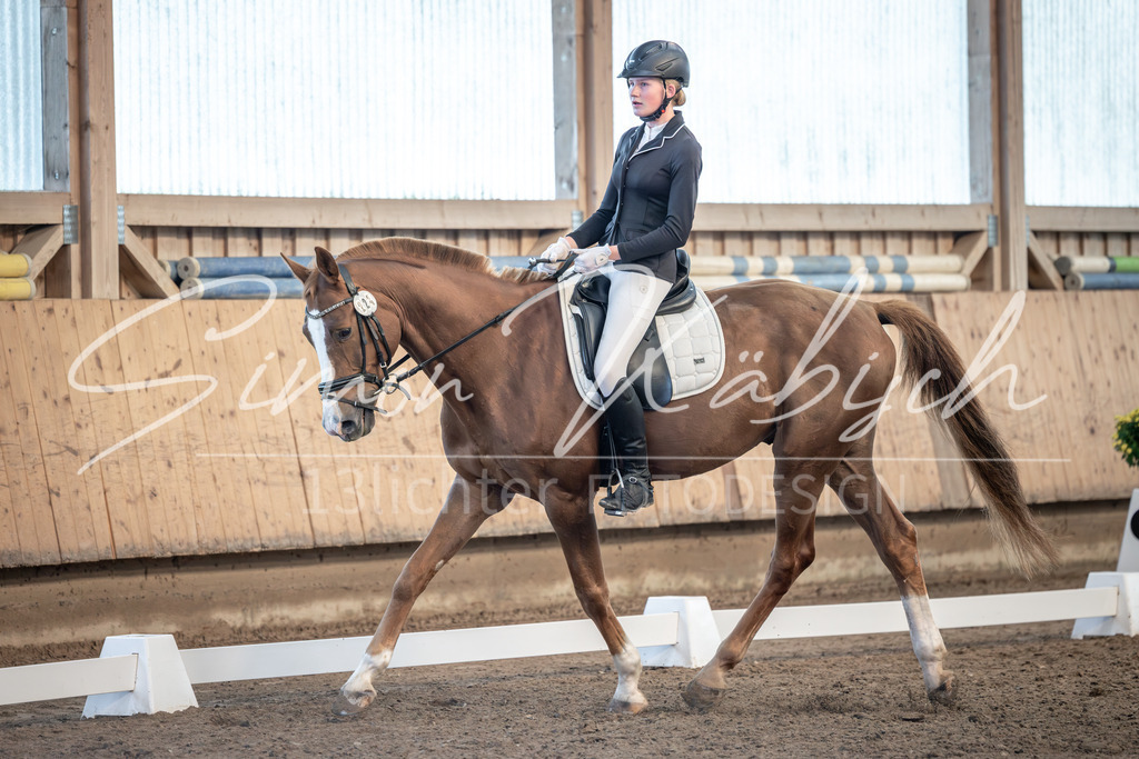 20251011-_3LI7105 | Tierfotografie Pferde, Hunde, Katzen, Haustiere.
Turnierfotografie Reitturniere, Reiten, Springreiten, Dressur in Hanau, dem Main-Kinzig-Kreis und dem Rhein-Main- Gebiet um Frankfurt