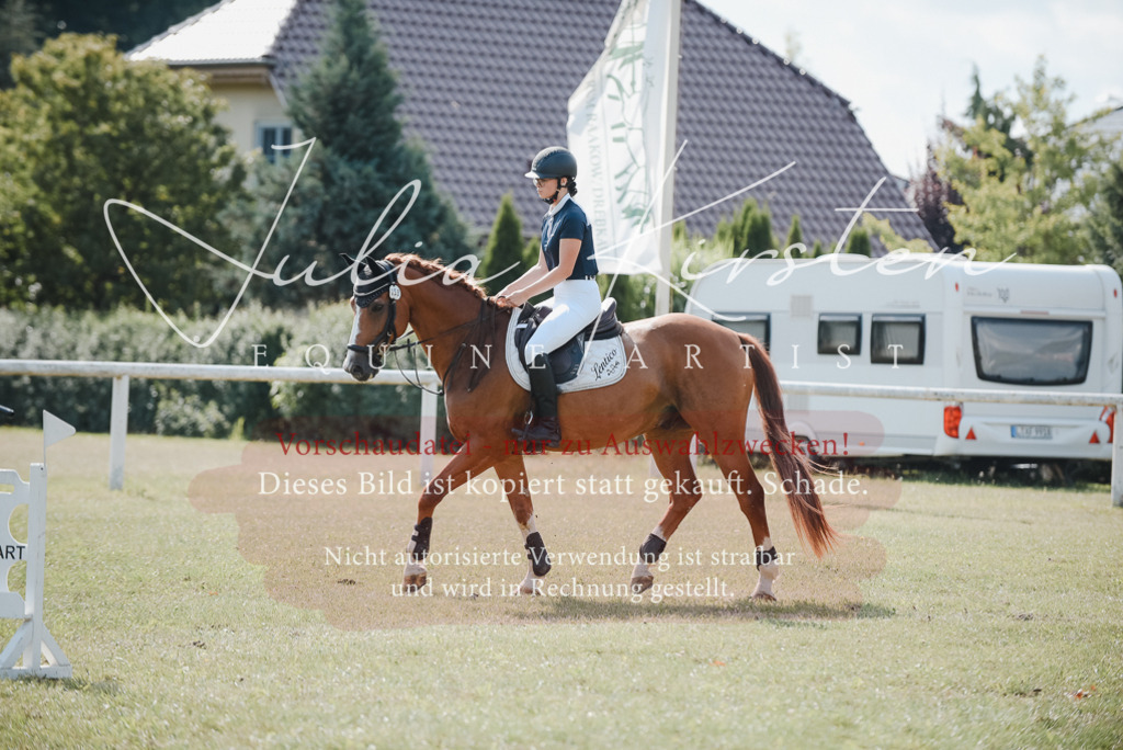 DSC_5338 | Pferde- und Turnierfotografie in Westsachsen. Pferdeportraits, Auftragszeichnungen und intuitive Kunst.