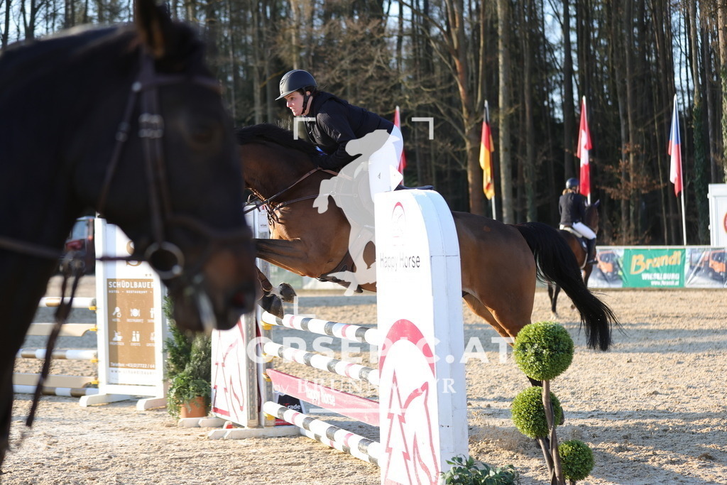 0P6A8966 | Willkommen bei Brunnmayr - Design & Fotografie – Ihrem Spezialisten für Reitturniere und Pferdeveranstaltungen in Oberösterreich, Salzburg und Bayern! Seit über 17 Jahren sind wir leidenschaftlich dabei.