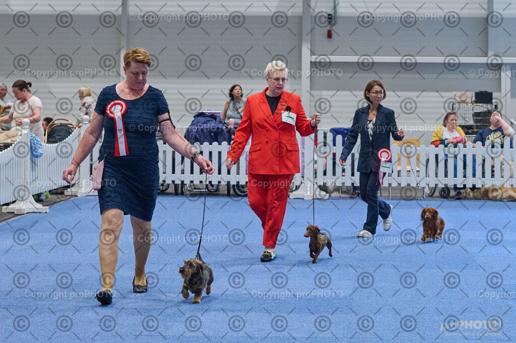 202406_ÖKV-IHA-Tulln24_DSC_4998 | proPHOTO - Realisiert mit Pictrs.com