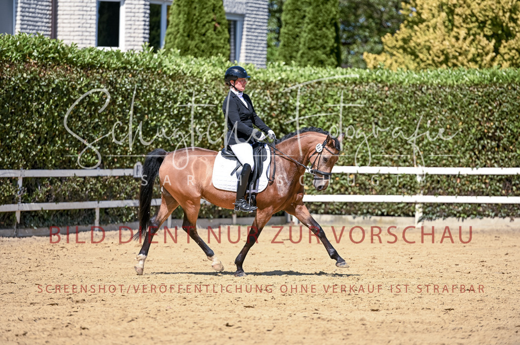 Schugtsche-Aluta25-49.Dressurpferdeprf.A-421 | Schugtsche Fotografie - Realisiert mit Pictrs.com