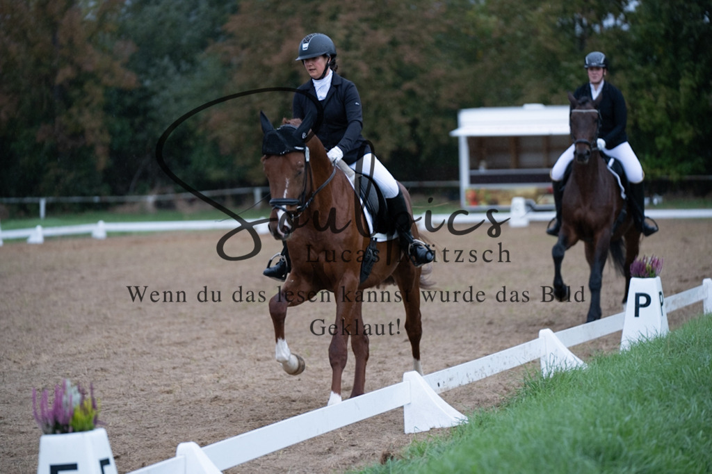 A7V04897 | Pferdefotograf