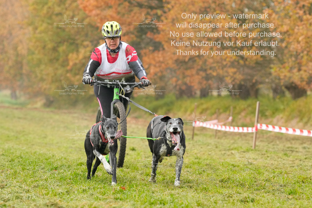 Visbeck_Sa_DS2DR2-98 | stephaniefillaphotographie - Realisiert mit Pictrs.com