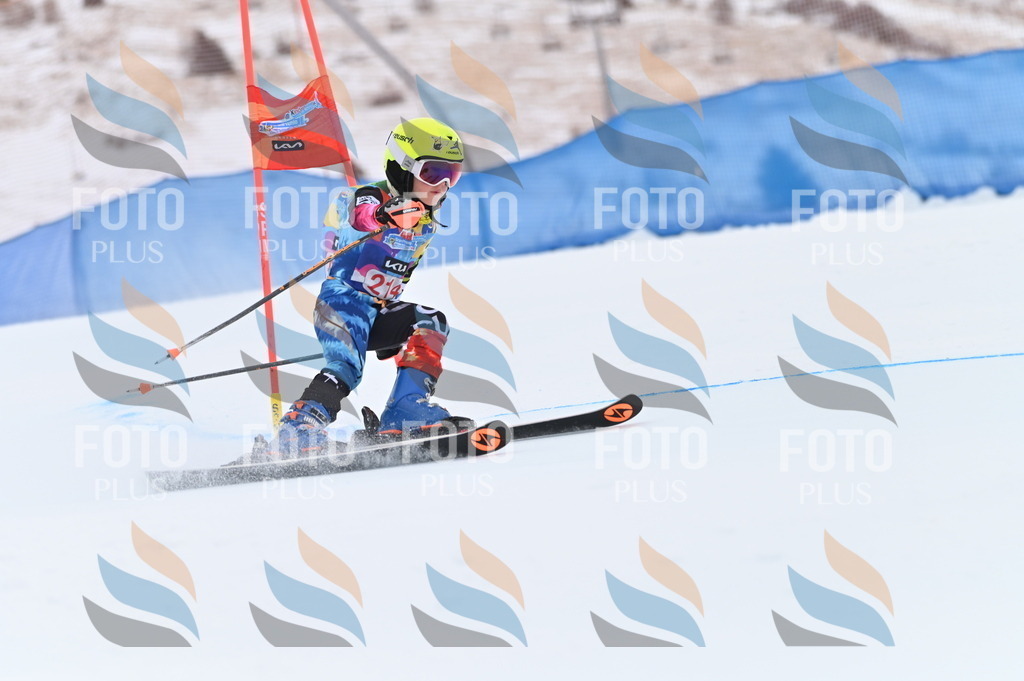 BGV_2685 | holidayphoto