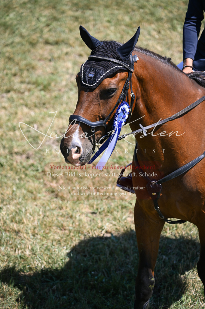 DSC_0061 | Pferde- und Turnierfotografie in Westsachsen. Pferdeportraits, Auftragszeichnungen und intuitive Kunst.