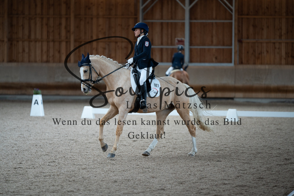 A7V02595 | Pferdefotograf