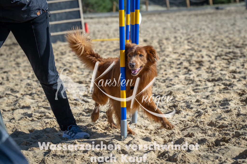 1455_ZZ92029 | kk-dogfotos