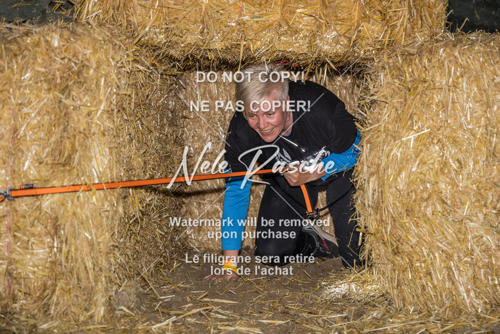 nelerasche_FrNacht_250 | nelerasche