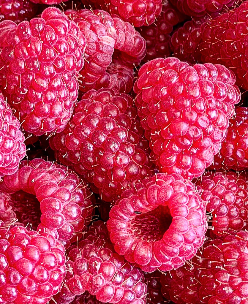 Sauer macht lustig? Nein, dieses Rot macht deine Küche stylisch! | Eine Explosion von Farbe und Frische für deine Räume! Dieses hochaufgelöste Makro-Foto von erntefrischen Himbeeren fasziniert durch seine feine, organische Textur. Perfekt als modernes Wandbild für die Küche oder das Esszimmer, das sofort Lebensfreude versprüht. Handfotografiert von Robert Steinke. - Realisiert mit Pictrs.com