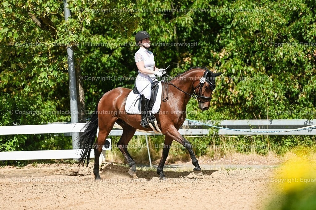 20230715_02_Dressurreiterprüfung Kl.L_0217 | equistock