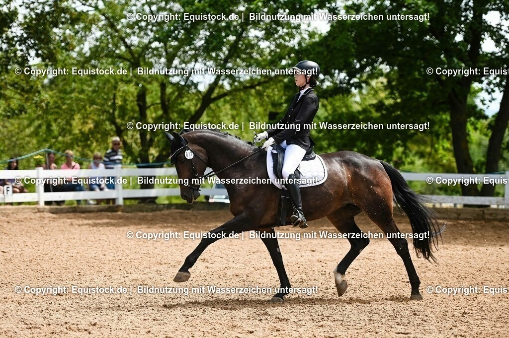 20230716_03_Dressurprfg. Kl.L - Tr._0566 | equistock
