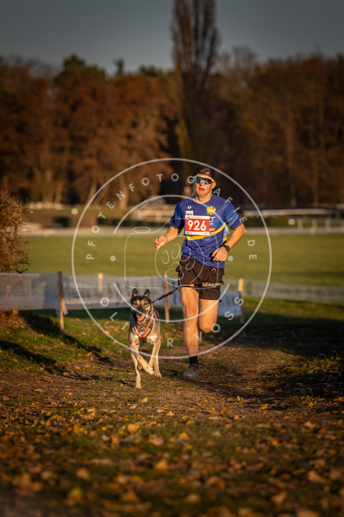 CaniXpix_DV3A5034 | Hundefotografie, Tierfotograf, Pfotenfotografie, Fotoshooting Hund, Hunde Portrait, Hundesport, Hundeportraits, Heideshooting, Hunde, Sportfotograf, Hundefotograf, Turnierhundsport, THS,  - Realisiert mit Pictrs.com