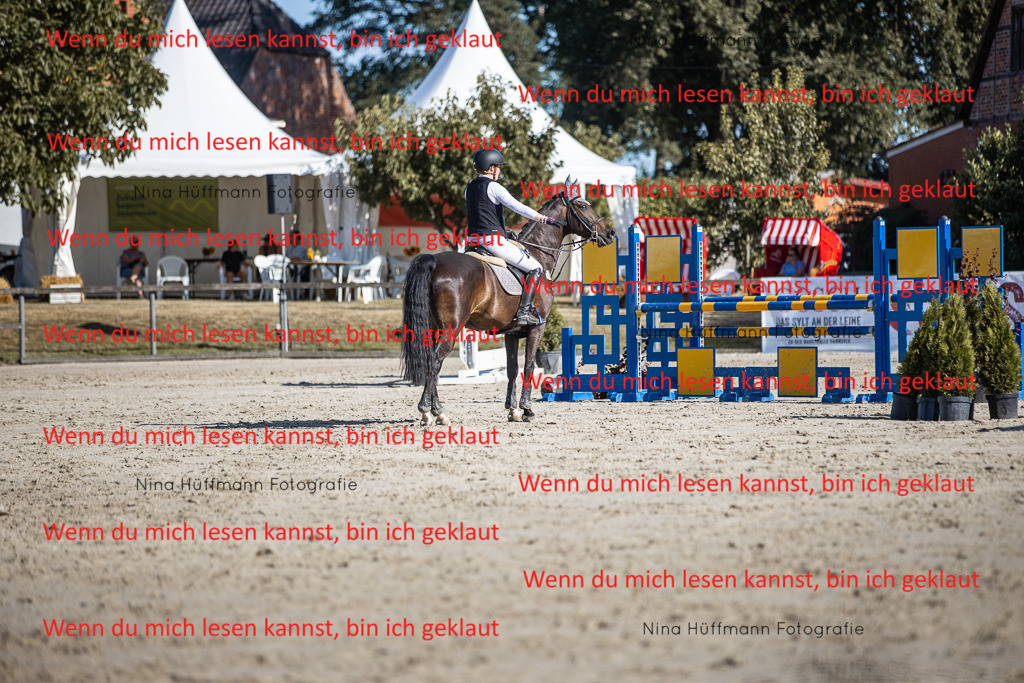 BK1A7359 | Turnierbilder Turnierfotos Nina Hüffmann Turnierfotografie Pferdefotografie Tierzeichnung Haustierzeichnung Pferdezeichnung Hundezeichnung Videograf  - Realisiert mit Pictrs.com