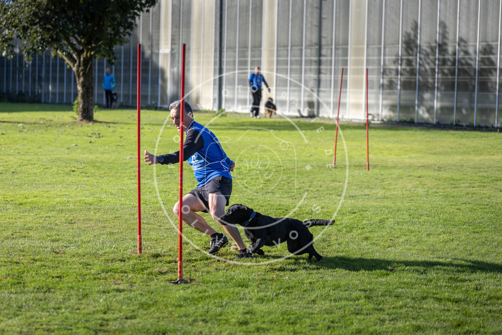 Pfotenfotografie.de_DV3A3238 | Hundefotografie, Tierfotograf, Pfotenfotografie, Fotoshooting Hund, Hunde Portrait, Hundesport, Hundeportraits, Heideshooting, Hunde, Sportfotograf, Hundefotograf, Turnierhundsport, THS, canicross - Realisiert mit Pictrs.com