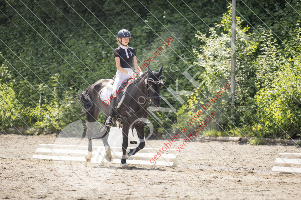 IMG_4533 | Sport-, Event- und Tierfotos in Profiqualität. Einfach auswählen, bestellen und herunterladen. Dein Moment – perfekt festgehalten.