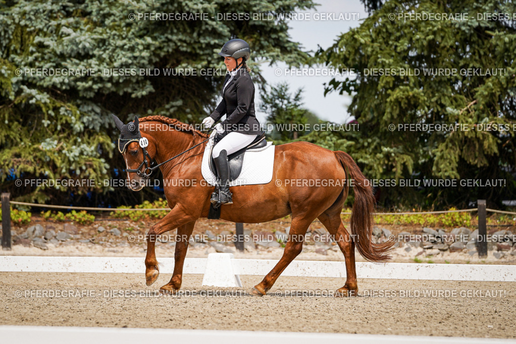 DSC04226 | Pferdegrafie