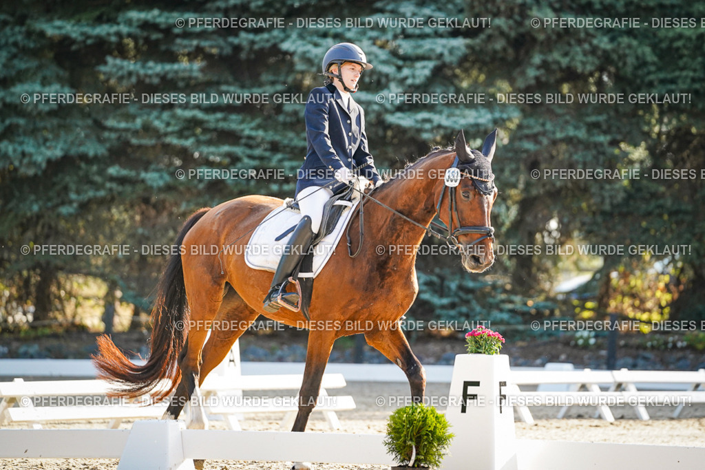 DSC07873 | Pferdegrafie