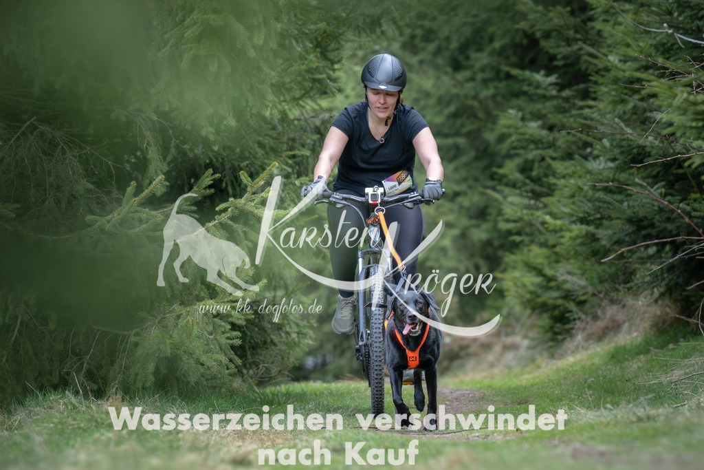 1309_ZZ93709 | kk-dogfotos