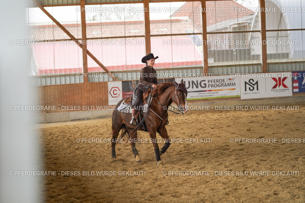 DSC04791 | Pferdegrafie