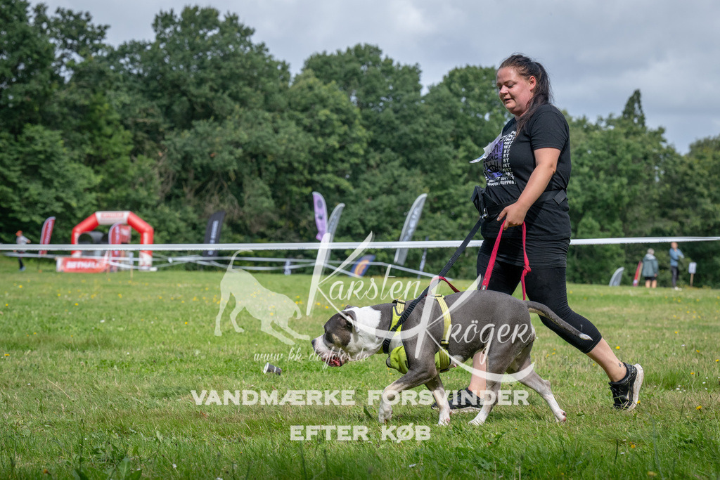 1137_ZZ92834 | kk-dogfotos