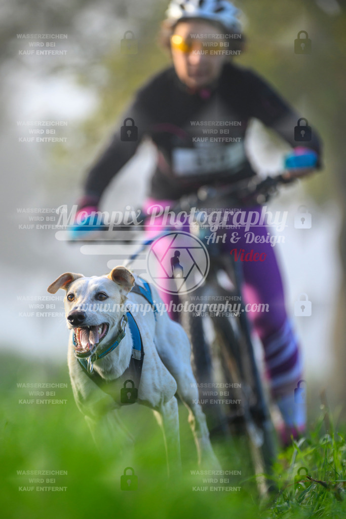 MompixPhotography_20TSB_E3_Bike-123 | PayLife