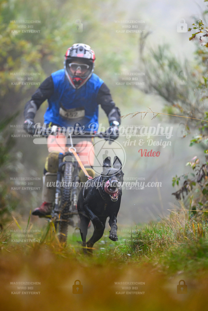 MompixPhotography_20TSB_E4_Bike-56 | PayLife