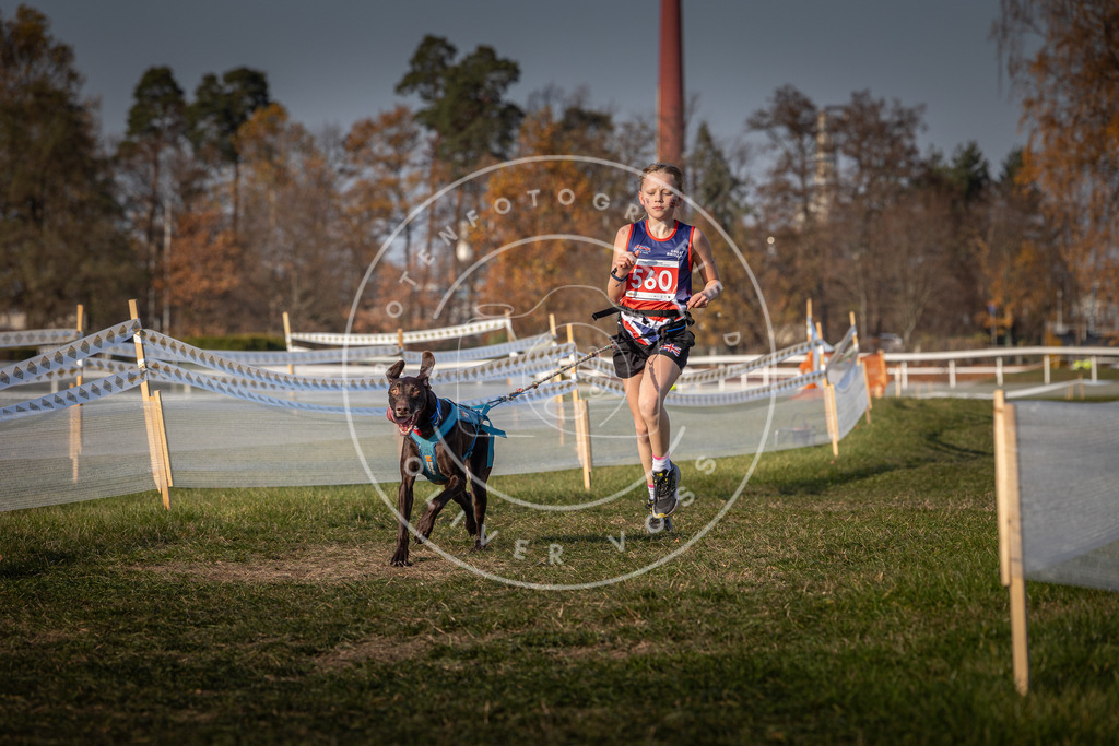 CaniXpix_0L8A9268 | Hundefotografie, Tierfotograf, Pfotenfotografie, Fotoshooting Hund, Hunde Portrait, Hundesport, Hundeportraits, Heideshooting, Hunde, Sportfotograf, Hundefotograf, Turnierhundsport, THS,  - Realisiert mit Pictrs.com