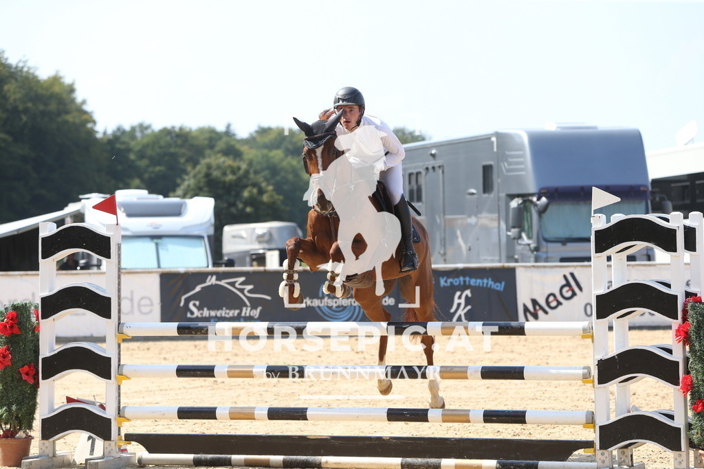 DL2Q1619 | Willkommen bei Brunnmayr - Design & Fotografie – Ihrem Spezialisten für Reitturniere und Pferdeveranstaltungen in Oberösterreich, Salzburg und Bayern! Seit über 17 Jahren sind wir leidenschaftlich dabei.