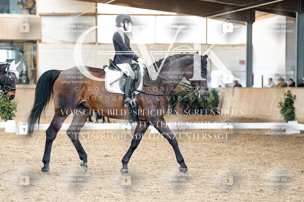 CK900310 | Turnierfotografie Pferdefotografie Trier Rheinland-Pfalz Pferdesport Reitsport Tierfotografie Sportfotografie Pferdevideo Pferdevideografie Equestrianvideography equestrianphotography  - Realized with Pictrs.com