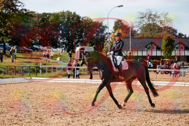 2026_10_03_Siefer-Hof_133620_Z63_96754148 | Professionelle Reitsport-, Turnier- und Eventfotografie von Robert Broda. Galerien mit ausgewählten und bearbeiteten Bildern direkt online ansehen und bestellen.