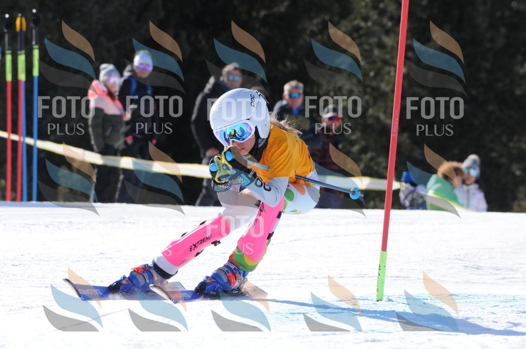 C7056 | holidayphoto