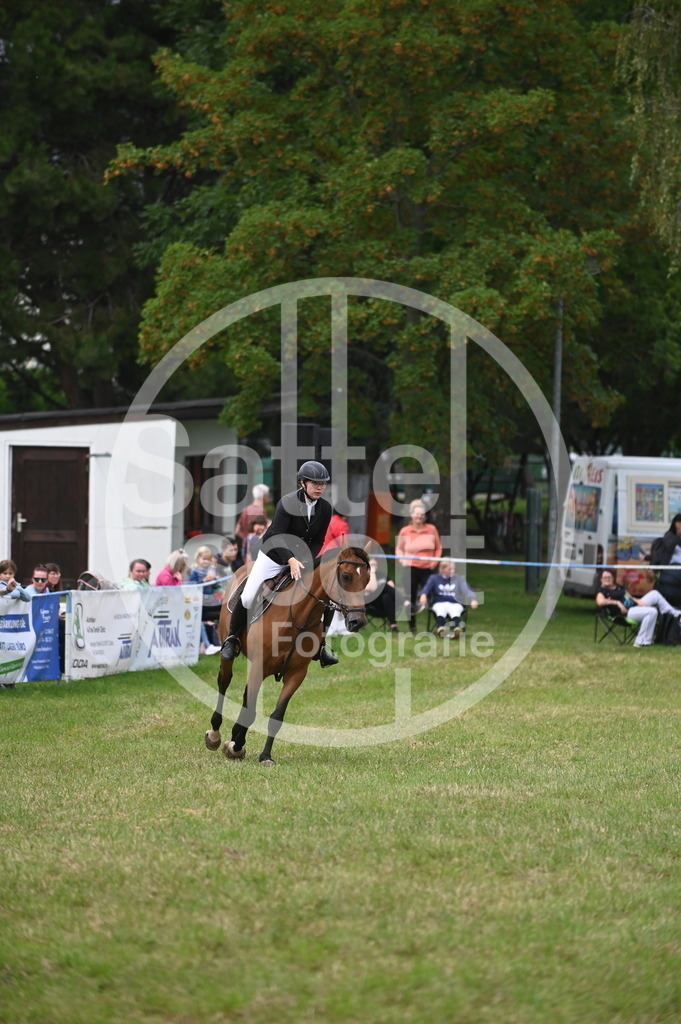 DSC_1626 | sattelsport - Realisiert mit Pictrs.com