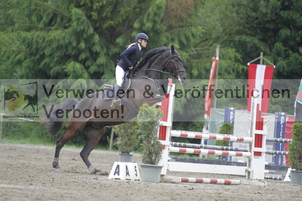 _MG_8653 | equestrian-live-com