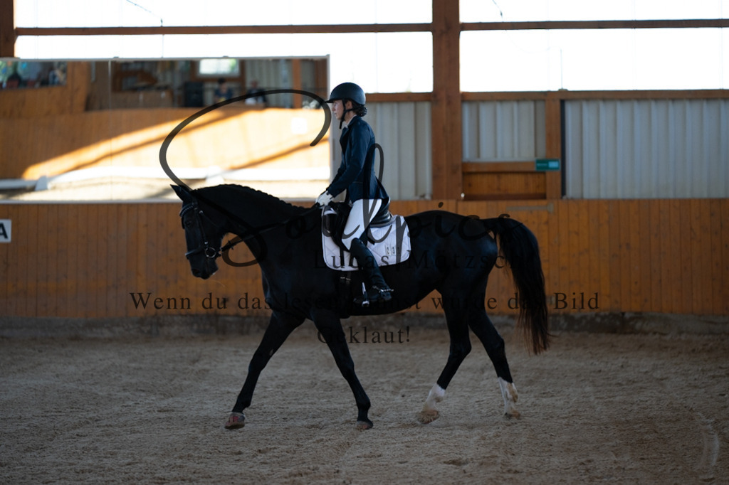 A7V01618 | Turnier/Reitfotograf