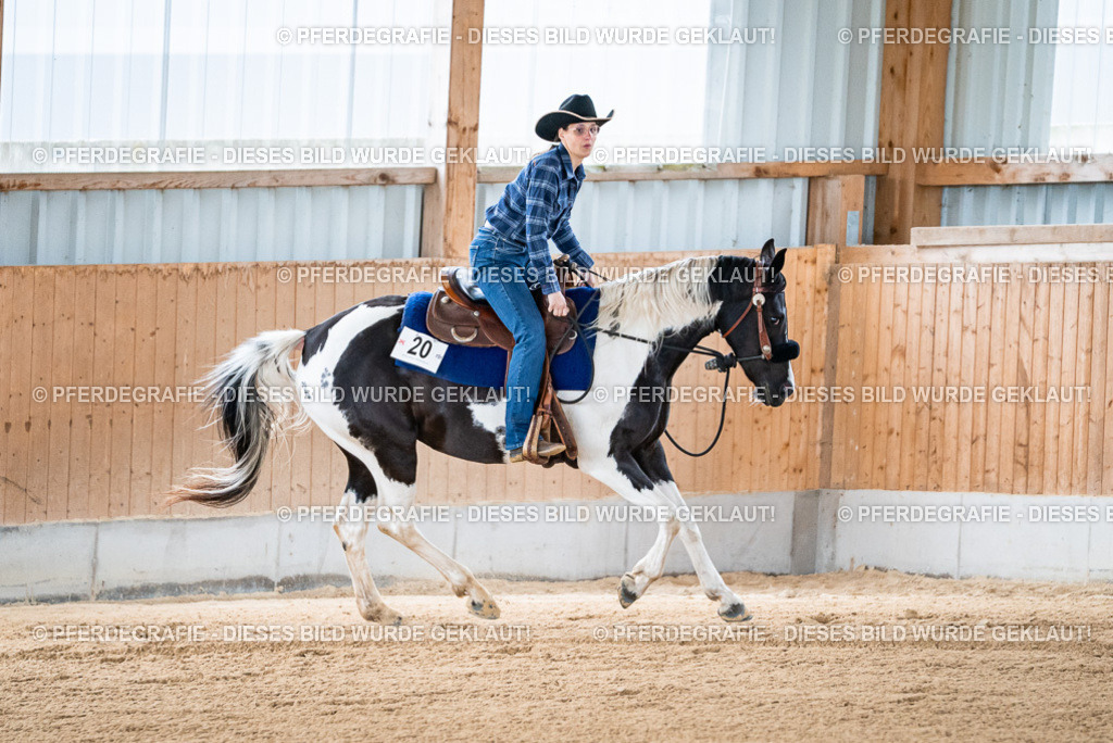 DSC07996 | Pferdegrafie