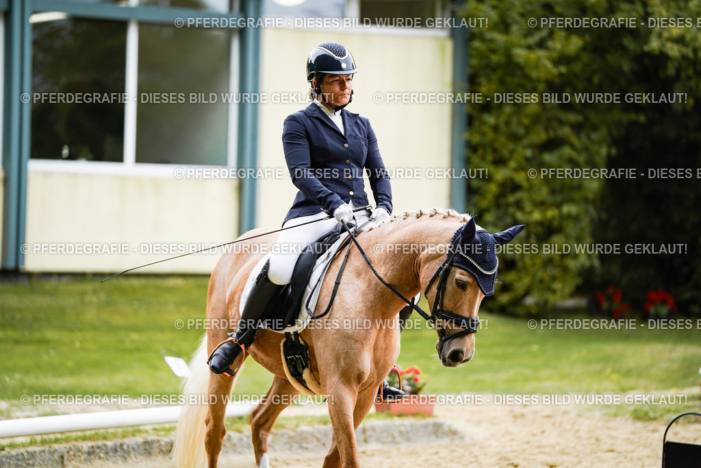 DSC09121 | Pferdegrafie