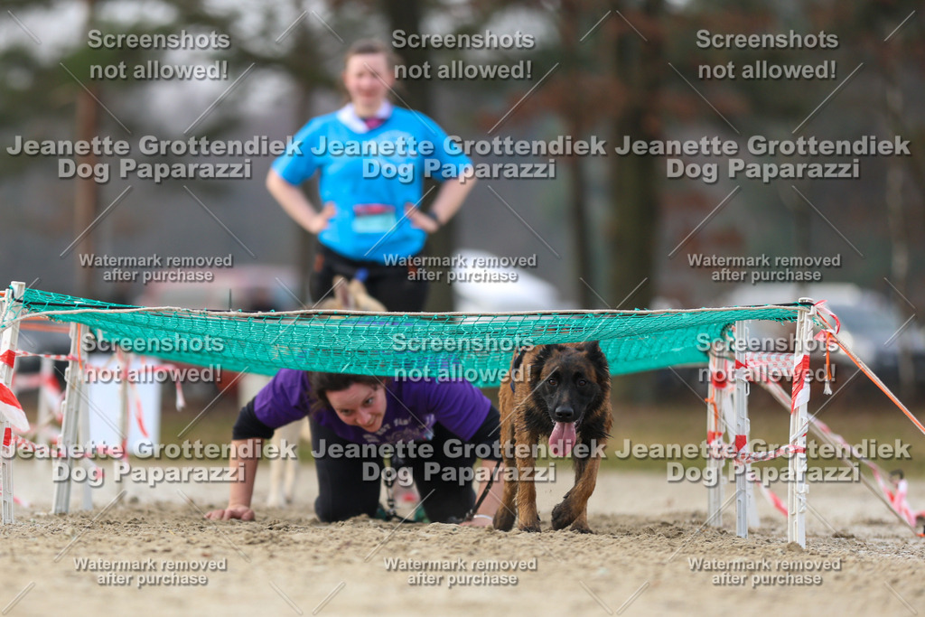 Dog Paparazzi - Strongdog North Mrz26-4400 | Dog Paparazzi Jeanette Grottendiek Fotografie & Videografie - Realisiert mit Pictrs.com