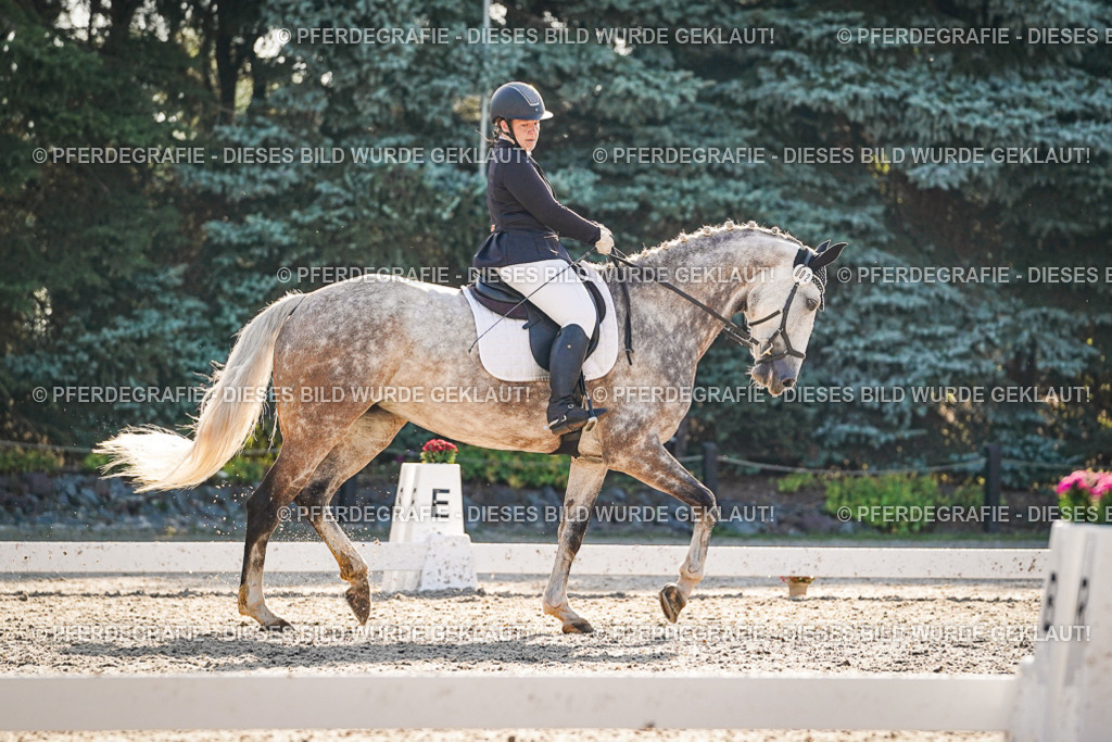 DSC08447 | Pferdegrafie