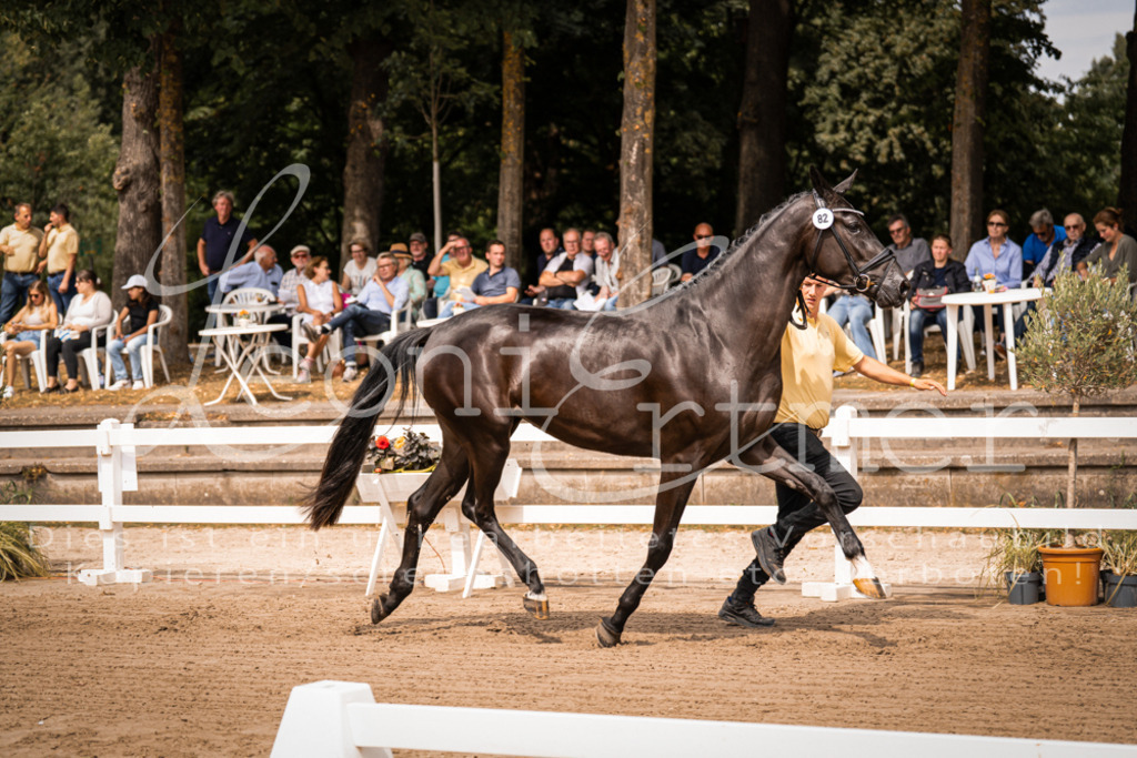 4.Fr00136 | Leoni Ertmer Photography - Realisiert mit Pictrs.com